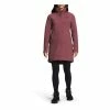 Women's The North Face Shelbe Raschel Parka Length With Hood Softshell Jacket